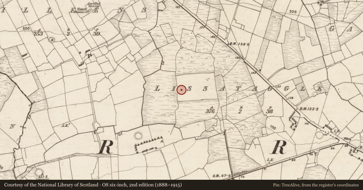 Ordnance Survey six-inch map, 2nd edition (1888–1915) covering the location of Ringfort - rath, Lissataggle, County Kerry, with a pin at the register's coordinates