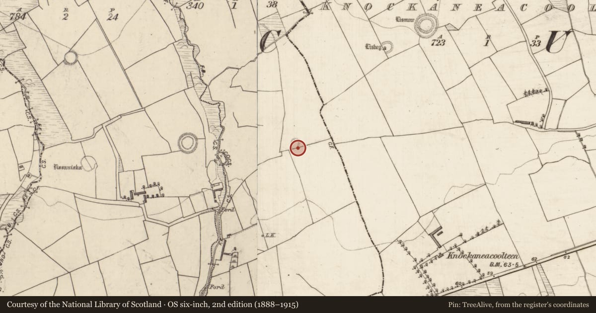 Ordnance Survey six-inch map, 2nd edition (1888–1915) covering the location of Souterrain, Curraghmore East, County Kerry, with a pin at the register's coordinates