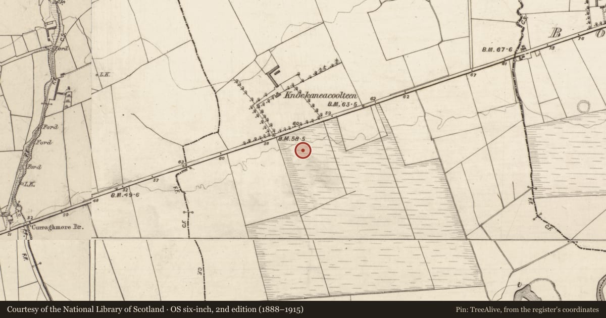 Ordnance Survey six-inch map, 2nd edition (1888–1915) covering the location of Fulacht fia, Knockaneacoolteen, County Kerry, with a pin at the register's coordinates