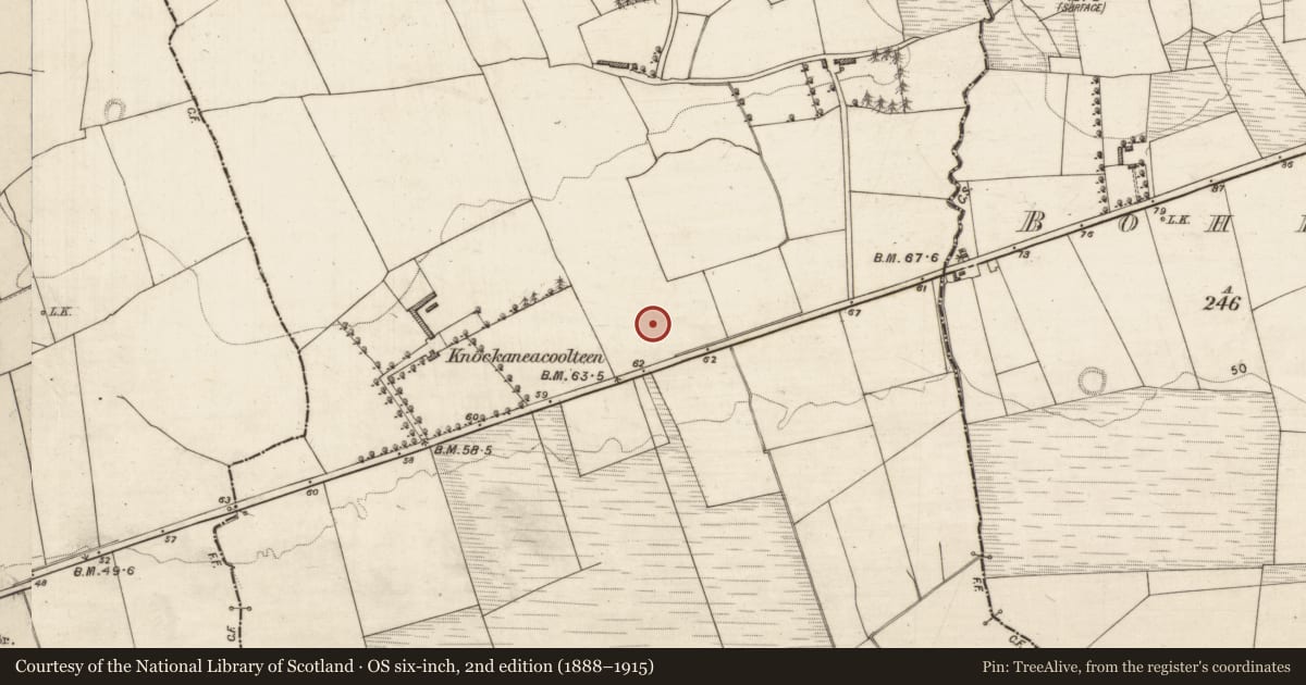 Ordnance Survey six-inch map, 2nd edition (1888–1915) covering the location of Burnt spread, Knockaneacoolteen, County Kerry, with a pin at the register's coordinates
