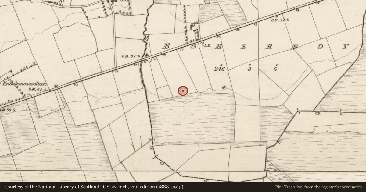 Ordnance Survey six-inch map, 2nd edition (1888–1915) covering the location of Ringfort - rath, Boherboy, County Kerry, with a pin at the register's coordinates
