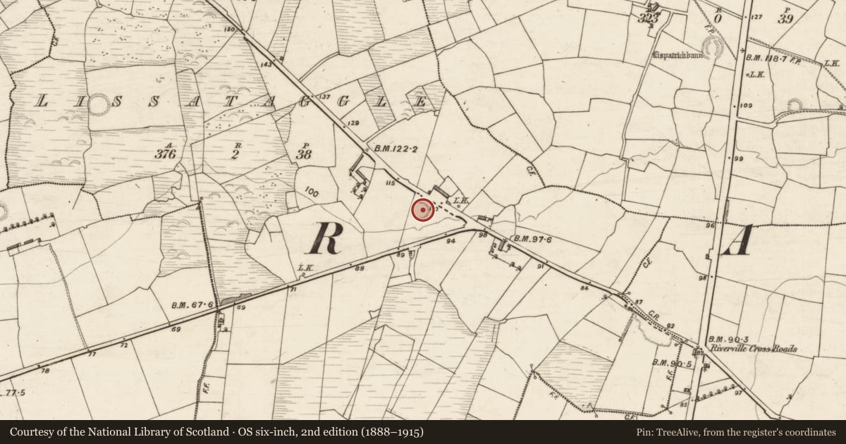 Ordnance Survey six-inch map, 2nd edition (1888–1915) covering the location of Ringfort - rath, Lissataggle, County Kerry, with a pin at the register's coordinates