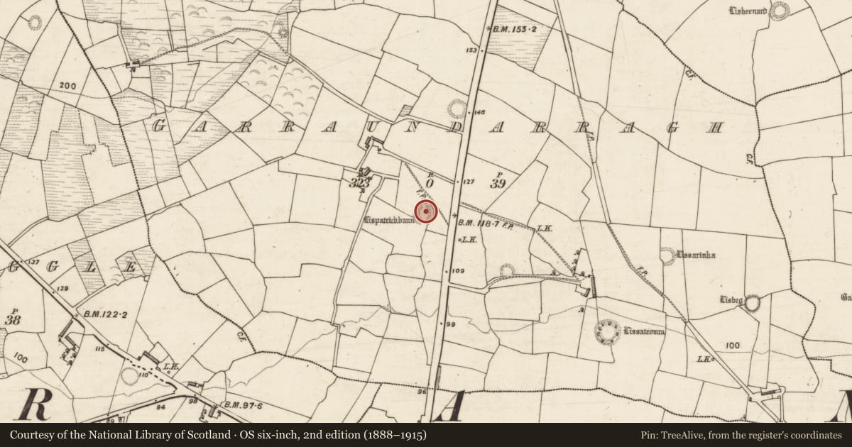 Ordnance Survey six-inch map, 2nd edition (1888–1915) covering the location of Ringfort - rath, Garraundarragh, County Kerry, with a pin at the register's coordinates