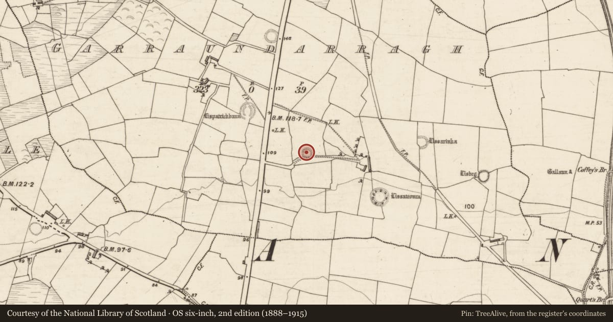 Ordnance Survey six-inch map, 2nd edition (1888–1915) covering the location of Ringfort - rath, Garraundarragh, County Kerry, with a pin at the register's coordinates