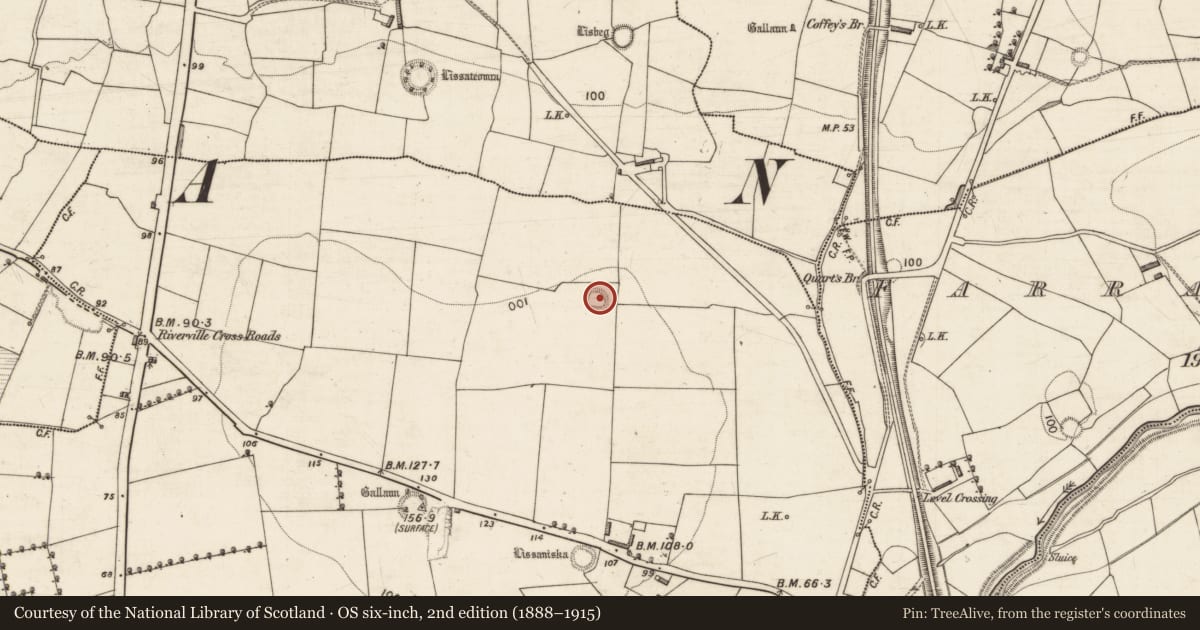 Ordnance Survey six-inch map, 2nd edition (1888–1915) covering the location of Ringfort - rath, Urrohogal, County Kerry, with a pin at the register's coordinates