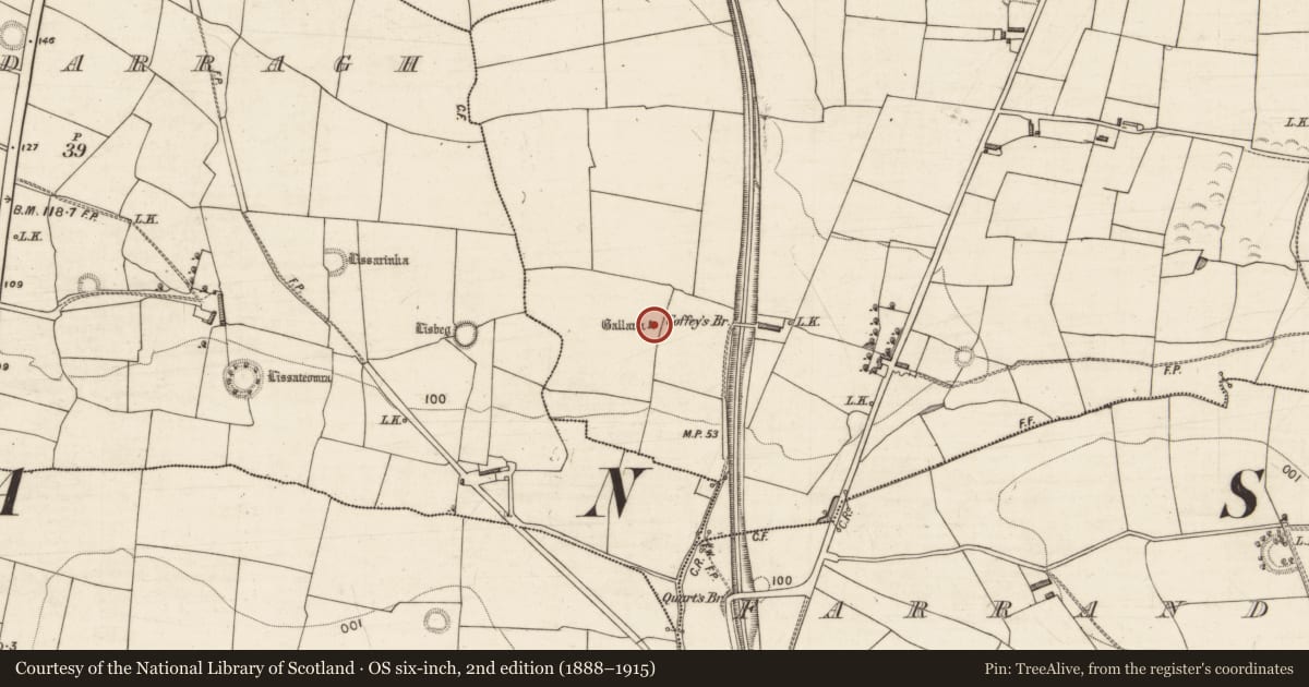 Ordnance Survey six-inch map, 2nd edition (1888–1915) covering the location of Standing stone, Kilfallinga, County Kerry, with a pin at the register's coordinates