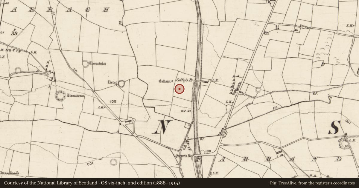 Ordnance Survey six-inch map, 2nd edition (1888–1915) covering the location of Megalithic structure, Kilfallinga, County Kerry, with a pin at the register's coordinates