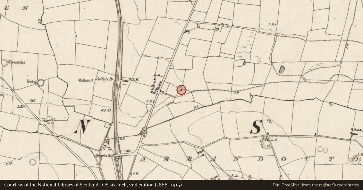 Ordnance Survey six-inch map, 2nd edition (1888–1915) covering the location of Ringfort - rath, Kilfallinga, County Kerry, with a pin at the register's coordinates