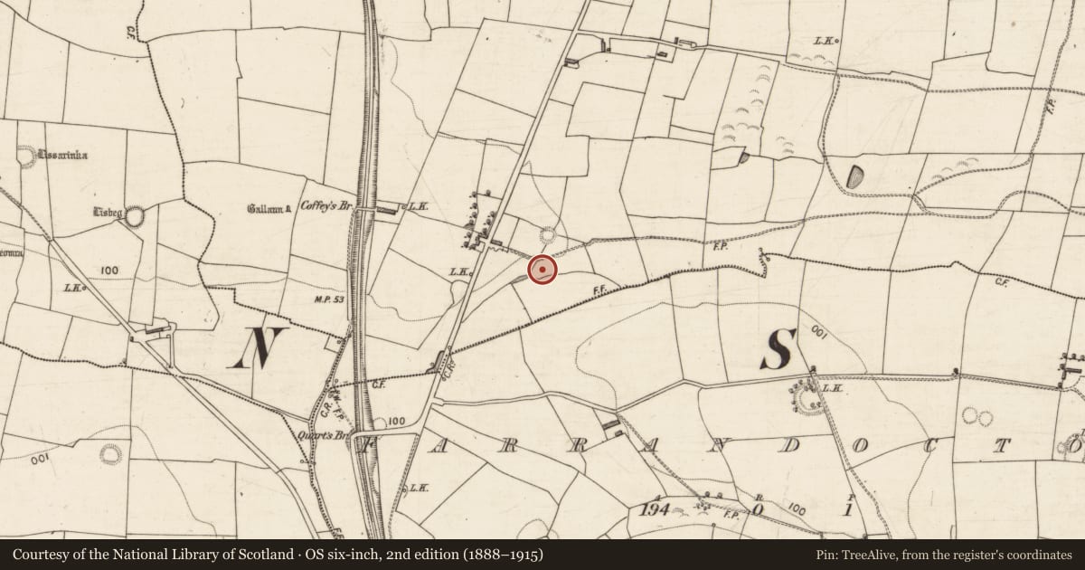 Ordnance Survey six-inch map, 2nd edition (1888–1915) covering the location of Fulacht fia, Kilfallinga, County Kerry, with a pin at the register's coordinates
