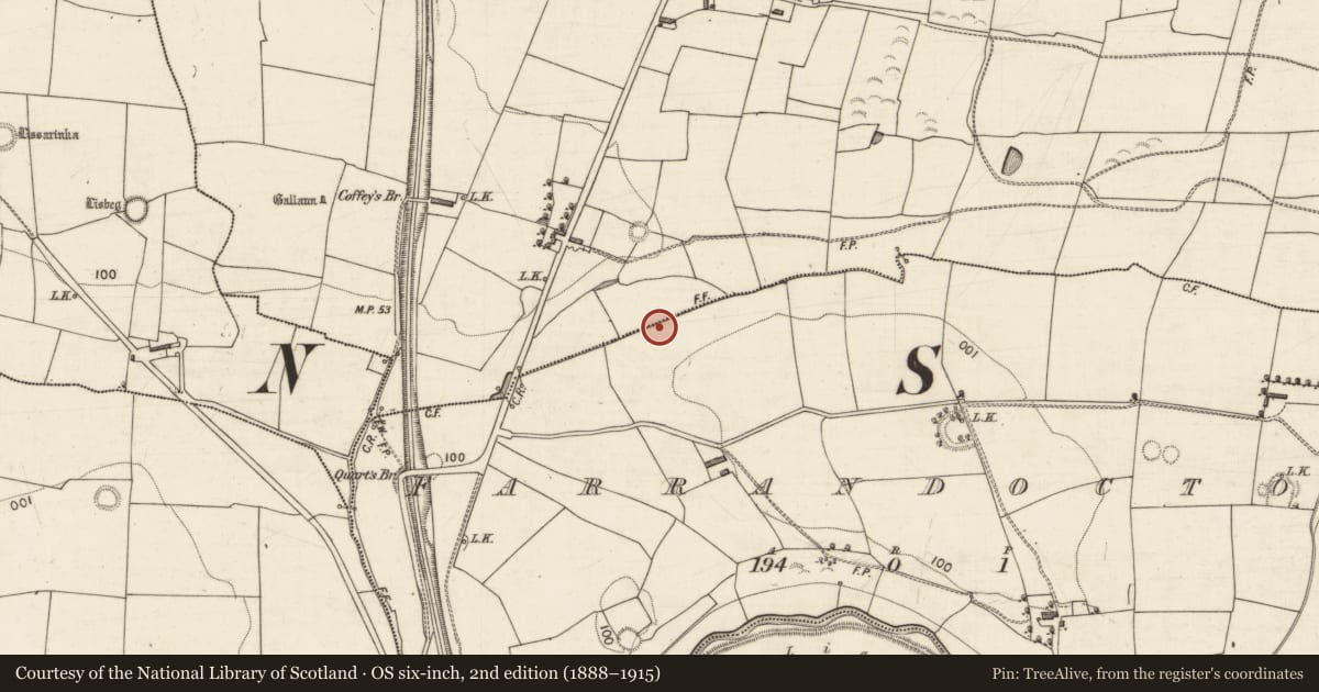 Ordnance Survey six-inch map, 2nd edition (1888–1915) covering the location of Fulacht fia, Kilfallinga, County Kerry, with a pin at the register's coordinates