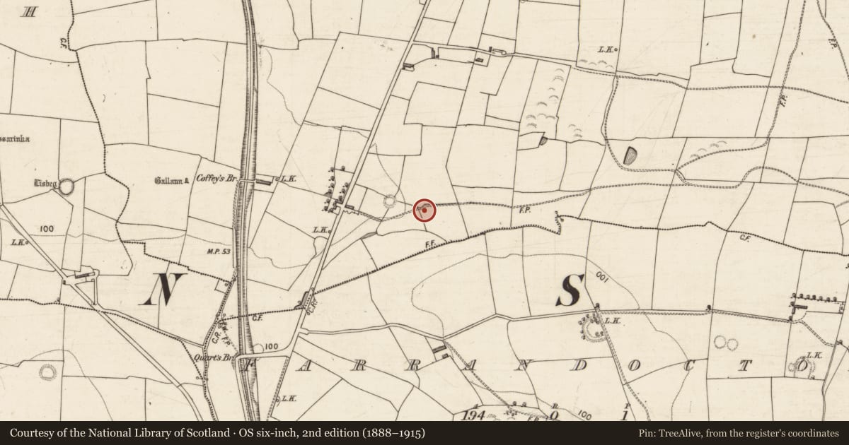 Ordnance Survey six-inch map, 2nd edition (1888–1915) covering the location of Fulacht fia, Kilfallinga, County Kerry, with a pin at the register's coordinates