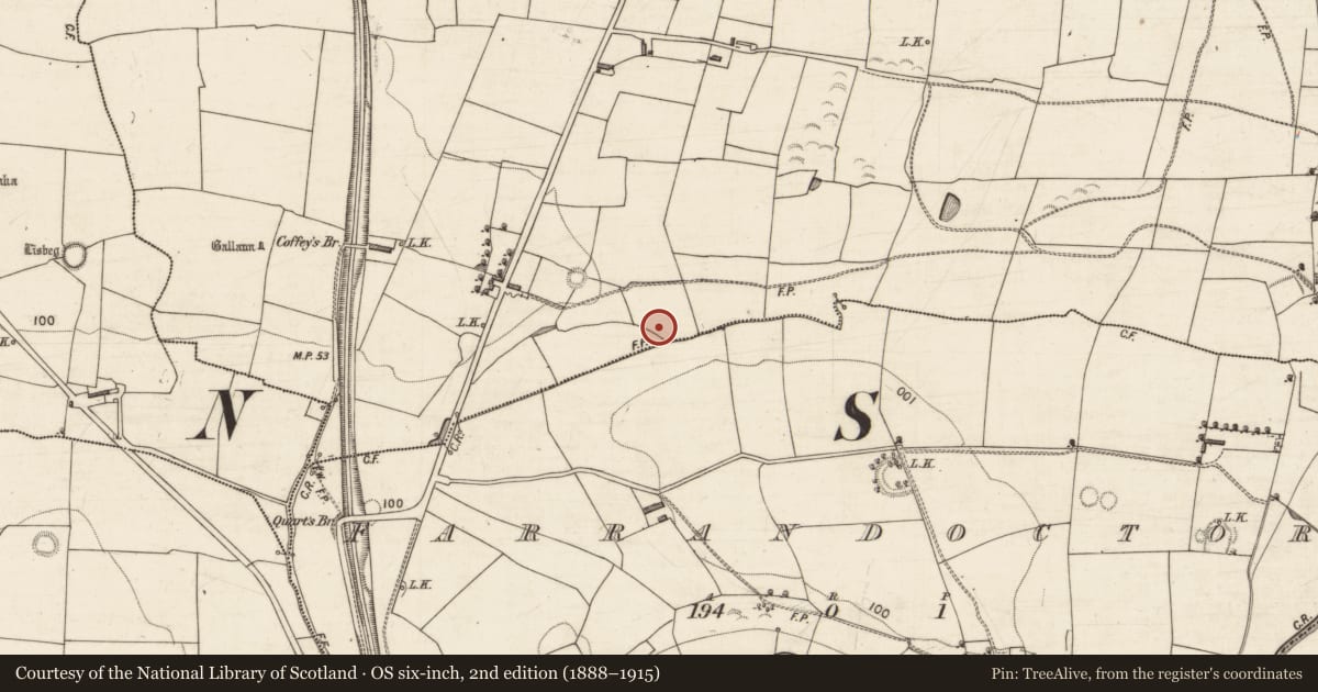 Ordnance Survey six-inch map, 2nd edition (1888–1915) covering the location of Fulacht fia, Kilfallinga, County Kerry, with a pin at the register's coordinates