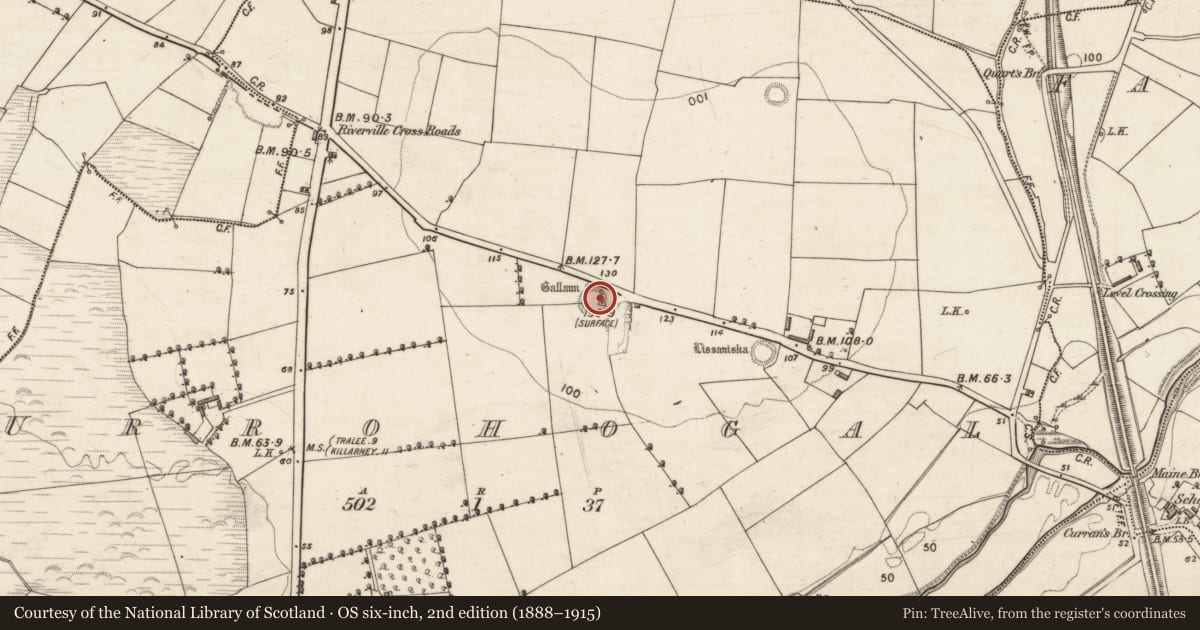 Ordnance Survey six-inch map, 2nd edition (1888–1915) covering the location of Ringfort - rath, Urrohogal, County Kerry, with a pin at the register's coordinates