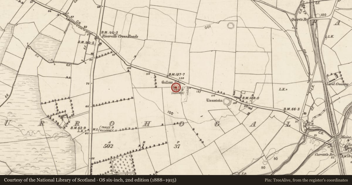 Ordnance Survey six-inch map, 2nd edition (1888–1915) covering the location of Souterrain, Urrohogal, County Kerry, with a pin at the register's coordinates