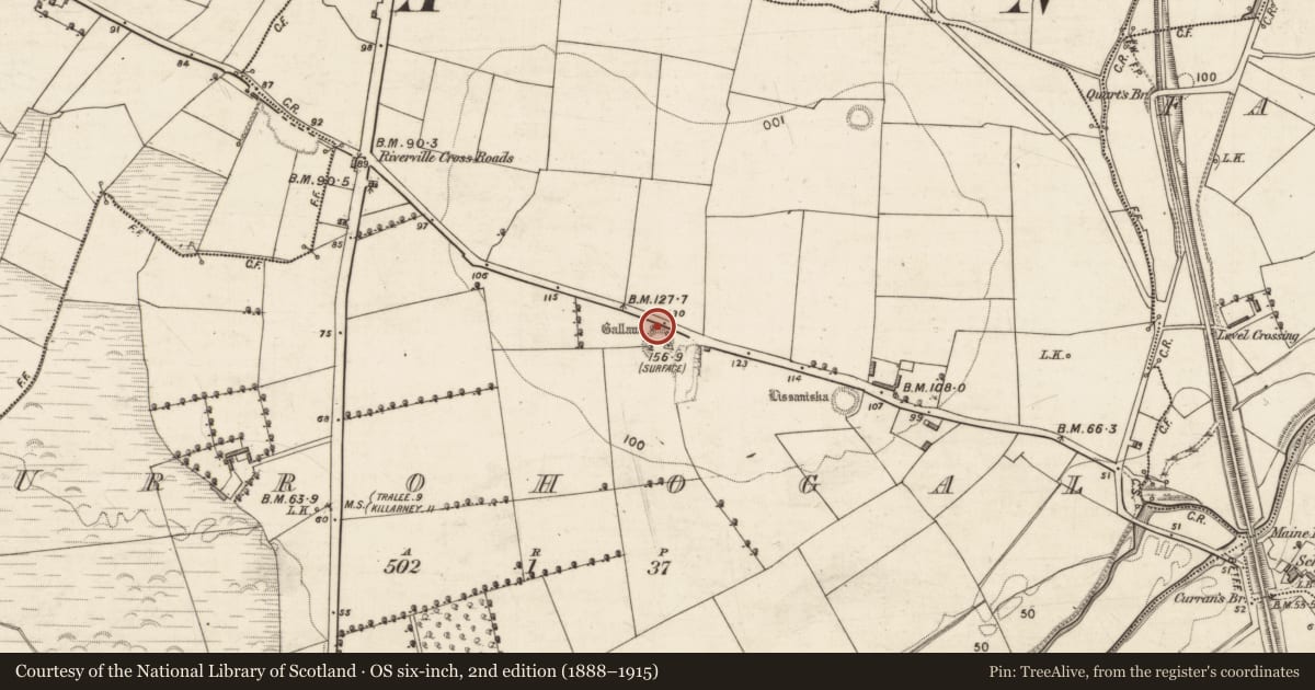 Ordnance Survey six-inch map, 2nd edition (1888–1915) covering the location of Standing stone, Urrohogal, County Kerry, with a pin at the register's coordinates