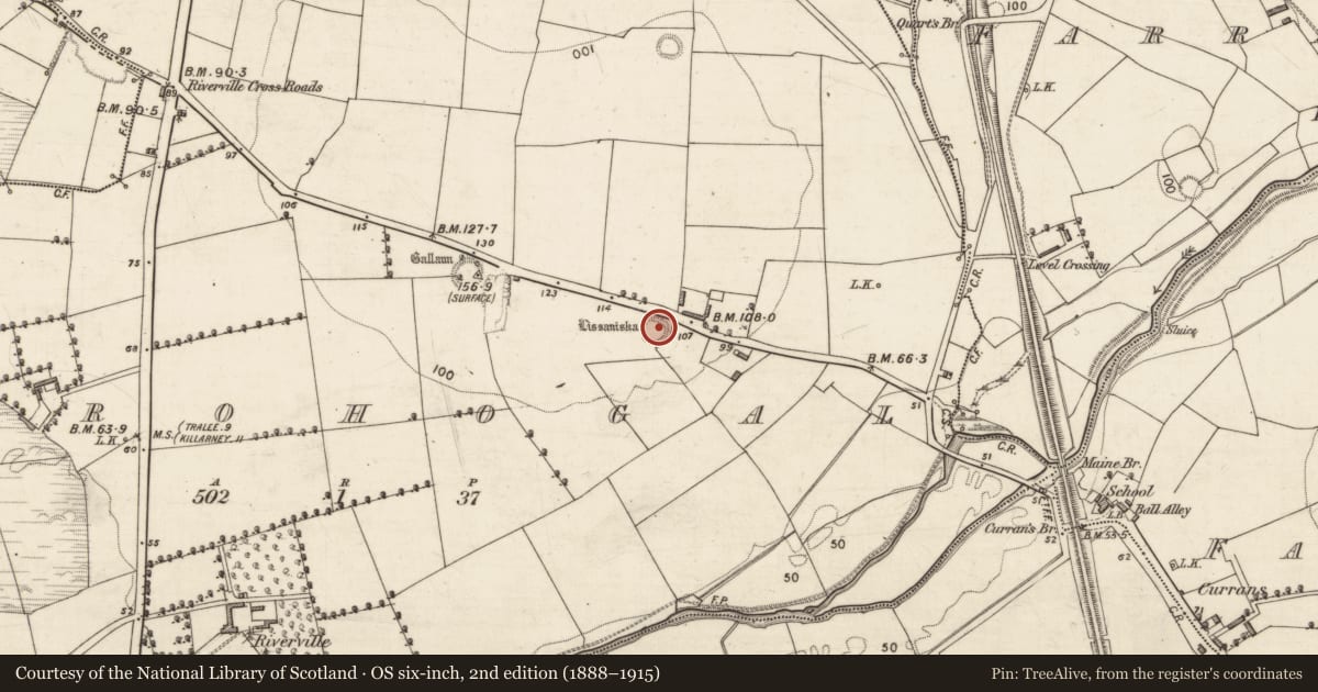 Ordnance Survey six-inch map, 2nd edition (1888–1915) covering the location of Ringfort - rath, Urrohogal, County Kerry, with a pin at the register's coordinates