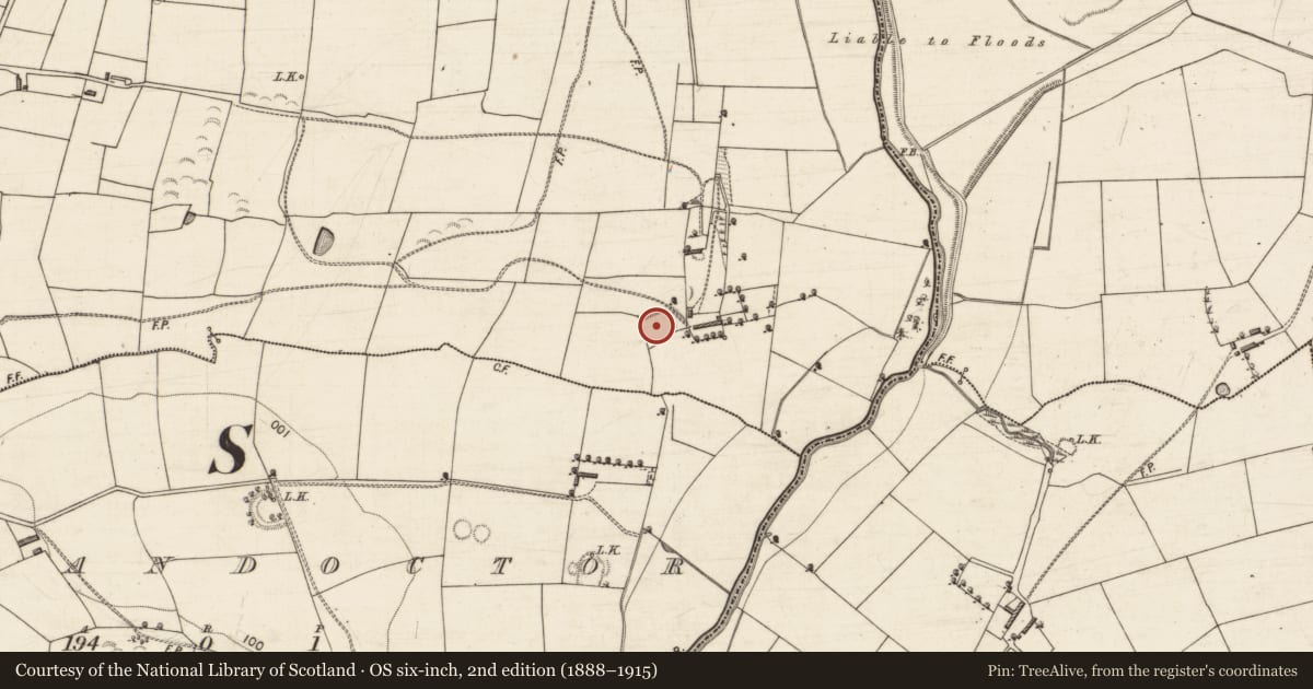 Ordnance Survey six-inch map, 2nd edition (1888–1915) covering the location of Church, Kilfallinga, County Kerry, with a pin at the register's coordinates