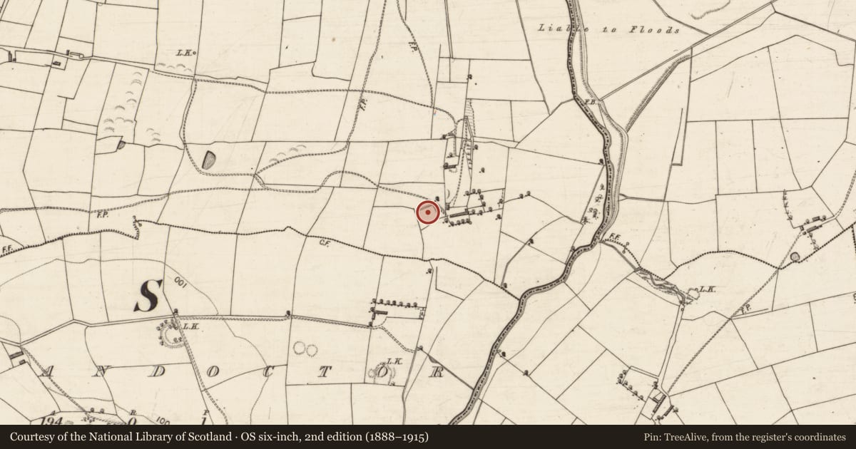 Ordnance Survey six-inch map, 2nd edition (1888–1915) covering the location of Graveyard, Kilfallinga, County Kerry, with a pin at the register's coordinates