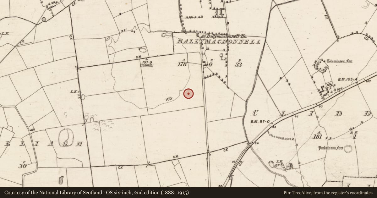 Ordnance Survey six-inch map, 2nd edition (1888–1915) covering the location of Ringfort - rath, Ballymacdonnell, County Kerry, with a pin at the register's coordinates