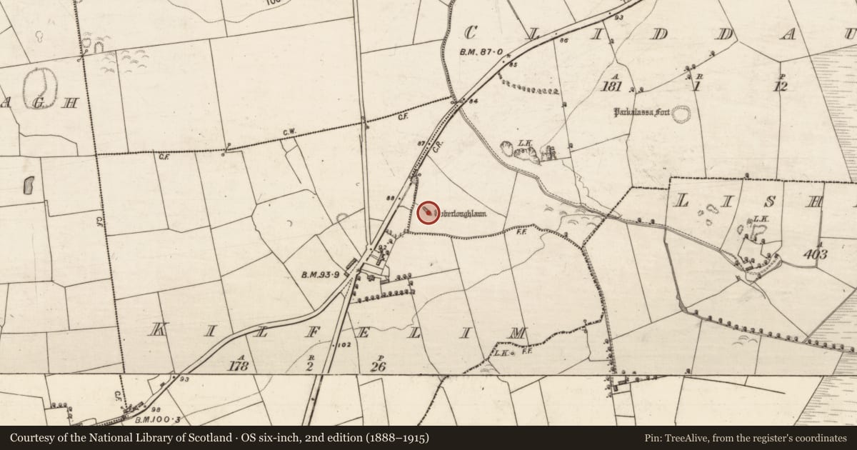 Ordnance Survey six-inch map, 2nd edition (1888–1915) covering the location of Ritual site - holy well, Cliddaun, County Kerry, with a pin at the register's coordinates