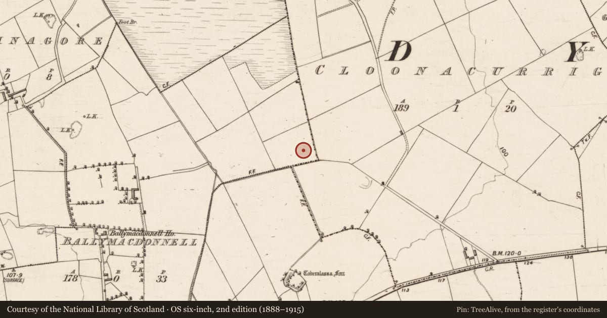 Ordnance Survey six-inch map, 2nd edition (1888–1915) covering the location of Fulacht fia, Ballymacdonnell, County Kerry, with a pin at the register's coordinates