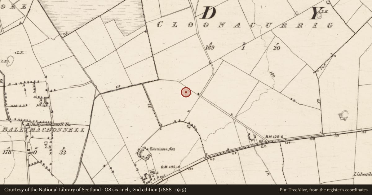 Ordnance Survey six-inch map, 2nd edition (1888–1915) covering the location of Enclosure, Cloonacurrig, County Kerry, with a pin at the register's coordinates