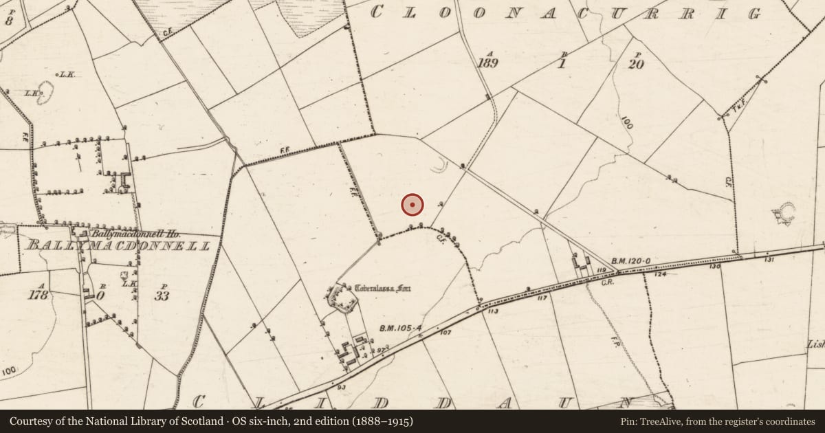 Ordnance Survey six-inch map, 2nd edition (1888–1915) covering the location of Standing stone, Cloonacurrig, County Kerry, with a pin at the register's coordinates