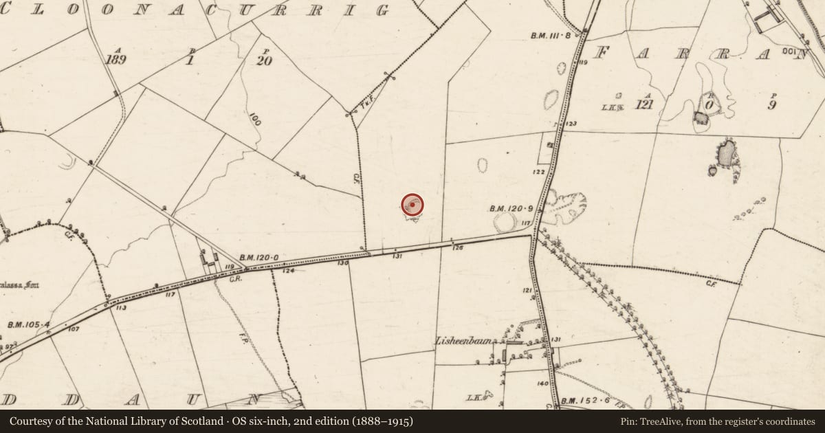 Ordnance Survey six-inch map, 2nd edition (1888–1915) covering the location of Ringfort - rath, Lisheenbaun, County Kerry, with a pin at the register's coordinates