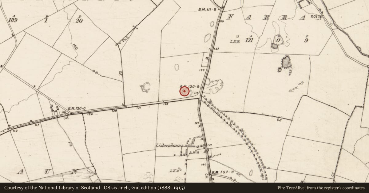 Ordnance Survey six-inch map, 2nd edition (1888–1915) covering the location of Ringfort - rath, Lisheenbaun, County Kerry, with a pin at the register's coordinates
