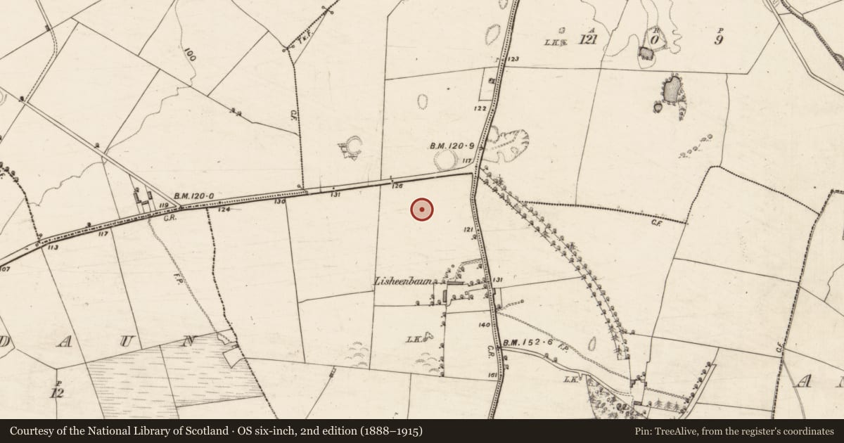 Ordnance Survey six-inch map, 2nd edition (1888–1915) covering the location of Cist, Lisheenbaun, County Kerry, with a pin at the register's coordinates