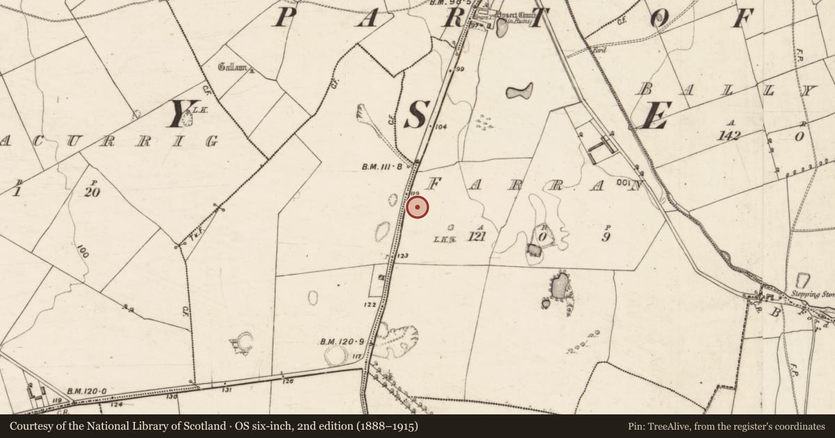 Ordnance Survey six-inch map, 2nd edition (1888–1915) covering the location of Hut site, Farran, County Kerry, with a pin at the register's coordinates