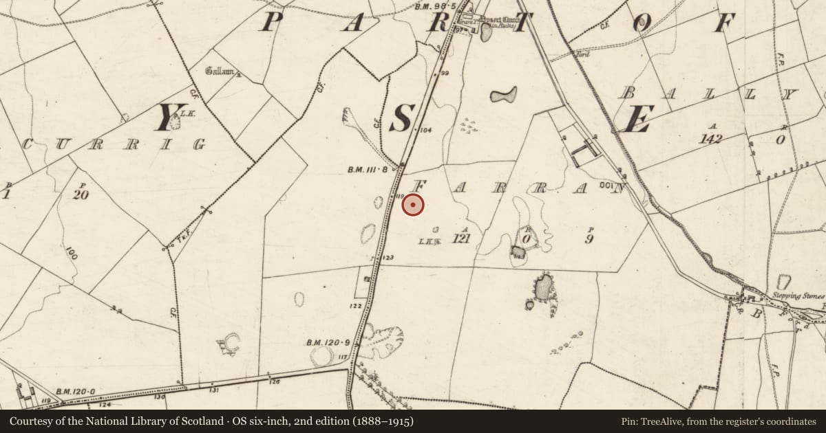 Ordnance Survey six-inch map, 2nd edition (1888–1915) covering the location of Hut site, Farran, County Kerry, with a pin at the register's coordinates