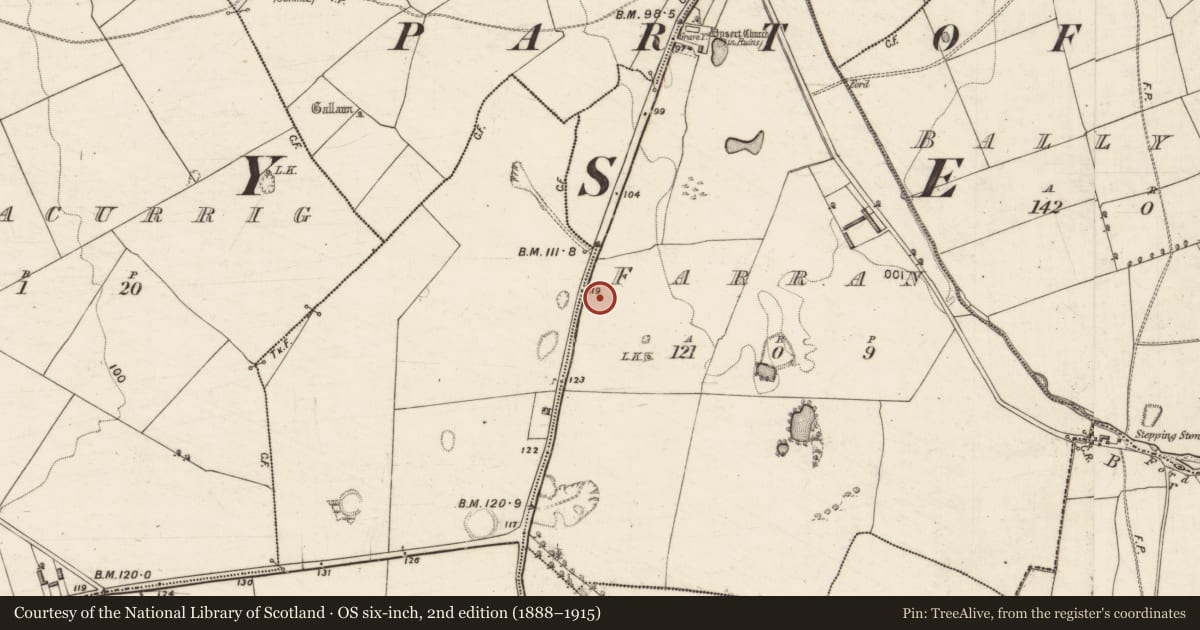 Ordnance Survey six-inch map, 2nd edition (1888–1915) covering the location of Hut site, Farran, County Kerry, with a pin at the register's coordinates