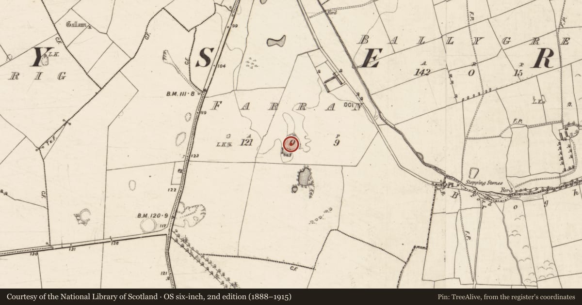 Ordnance Survey six-inch map, 2nd edition (1888–1915) covering the location of Souterrain, Farran, County Kerry, with a pin at the register's coordinates