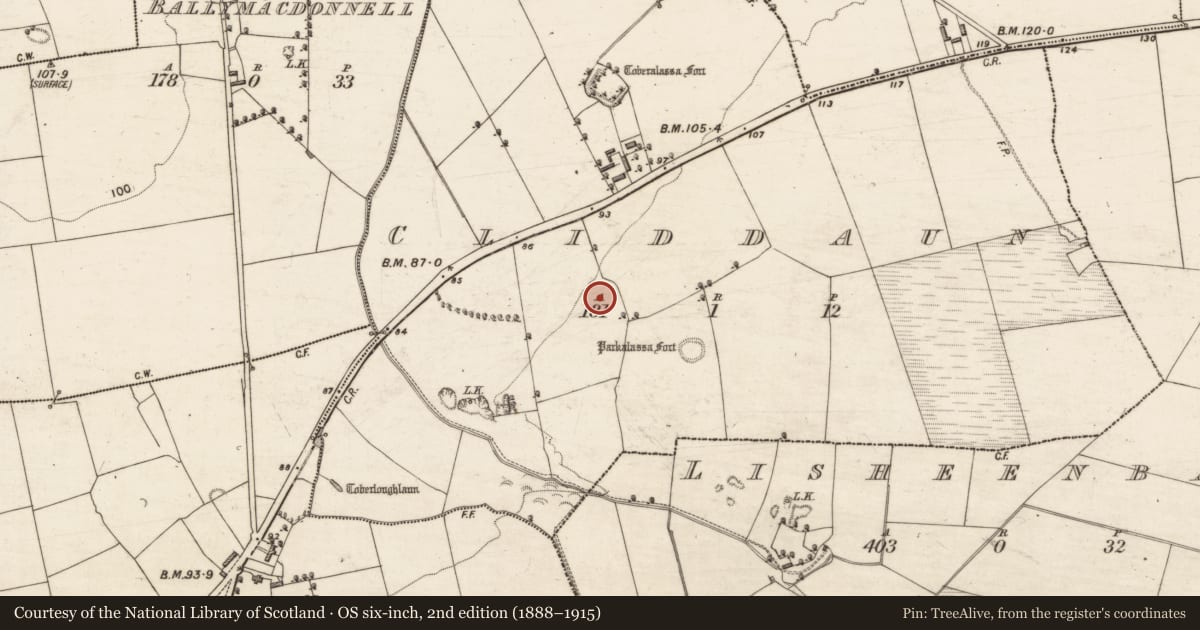 Ordnance Survey six-inch map, 2nd edition (1888–1915) covering the location of Ringfort - rath, Cliddaun, County Kerry, with a pin at the register's coordinates