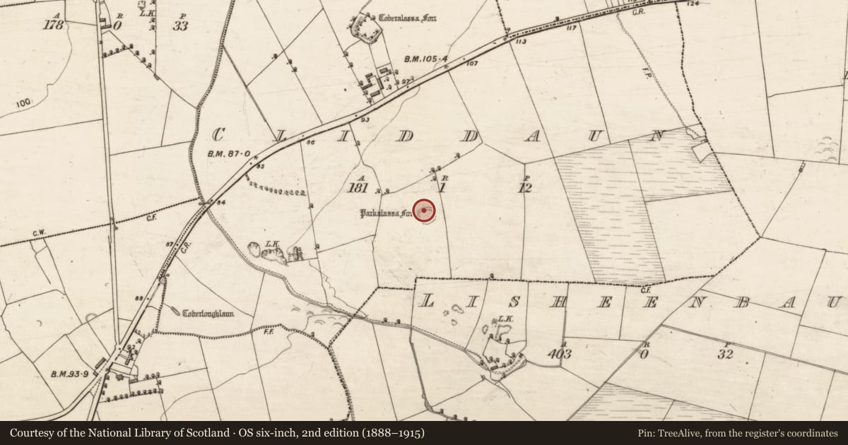 Ordnance Survey six-inch map, 2nd edition (1888–1915) covering the location of Ringfort - rath, Cliddaun, County Kerry, with a pin at the register's coordinates