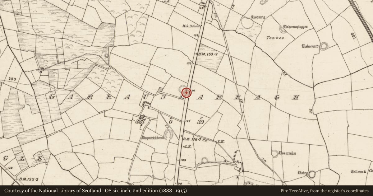 Ordnance Survey six-inch map, 2nd edition (1888–1915) covering the location of Ogham stone, Garraundarragh, County Kerry, with a pin at the register's coordinates