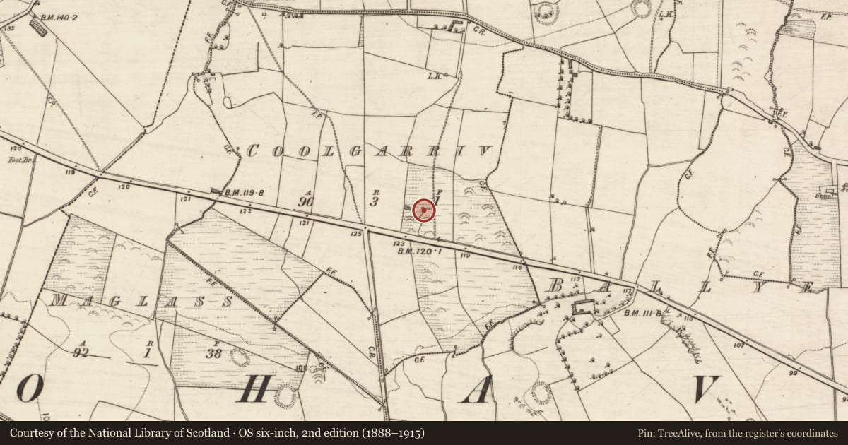 Ordnance Survey six-inch map, 2nd edition (1888–1915) covering the location of Ritual site - holy well, Coolgarriv, County Kerry, with a pin at the register's coordinates