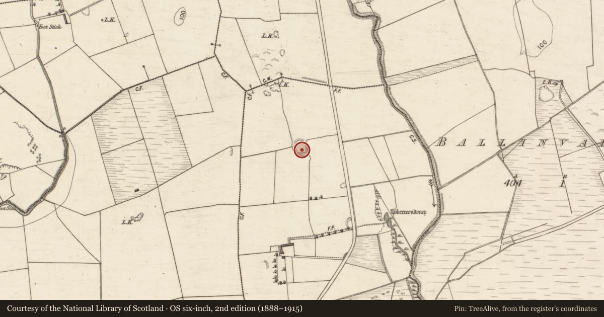 Ordnance Survey six-inch map, 2nd edition (1888–1915) covering the location of Enclosure, Ballymacpierce, County Kerry, with a pin at the register's coordinates