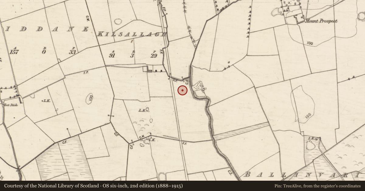 Ordnance Survey six-inch map, 2nd edition (1888–1915) covering the location of Metalworking site, Kilsallagh, County Kerry, with a pin at the register's coordinates