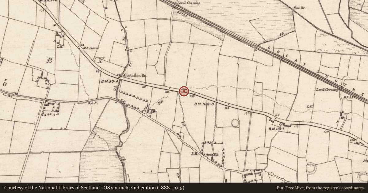 Ordnance Survey six-inch map, 2nd edition (1888–1915) covering the location of Souterrain, Gortatlea, County Kerry, with a pin at the register's coordinates
