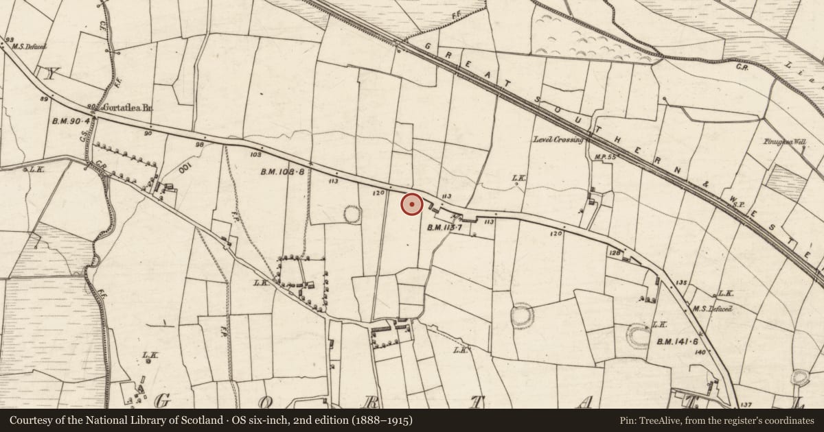 Ordnance Survey six-inch map, 2nd edition (1888–1915) covering the location of Excavation - miscellaneous, Gortatlea, County Kerry, with a pin at the register's coordinates