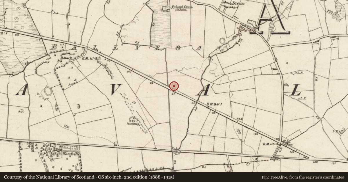 Ordnance Survey six-inch map, 2nd edition (1888–1915) covering the location of Excavation - miscellaneous, Ballyegan, County Kerry, with a pin at the register's coordinates