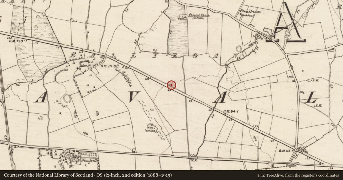 Ordnance Survey six-inch map, 2nd edition (1888–1915) covering the location of Excavation - miscellaneous, Ballyegan, County Kerry, with a pin at the register's coordinates