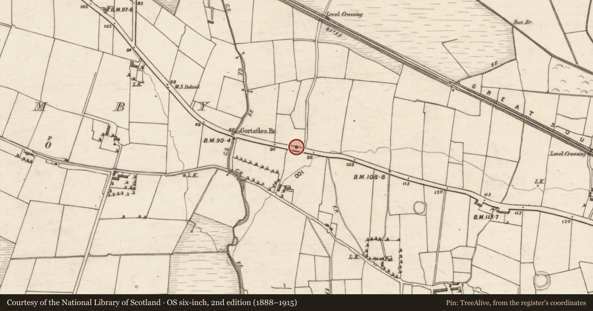 Ordnance Survey six-inch map, 2nd edition (1888–1915) covering the location of Barrow - ring-barrow, Gortatlea, County Kerry, with a pin at the register's coordinates
