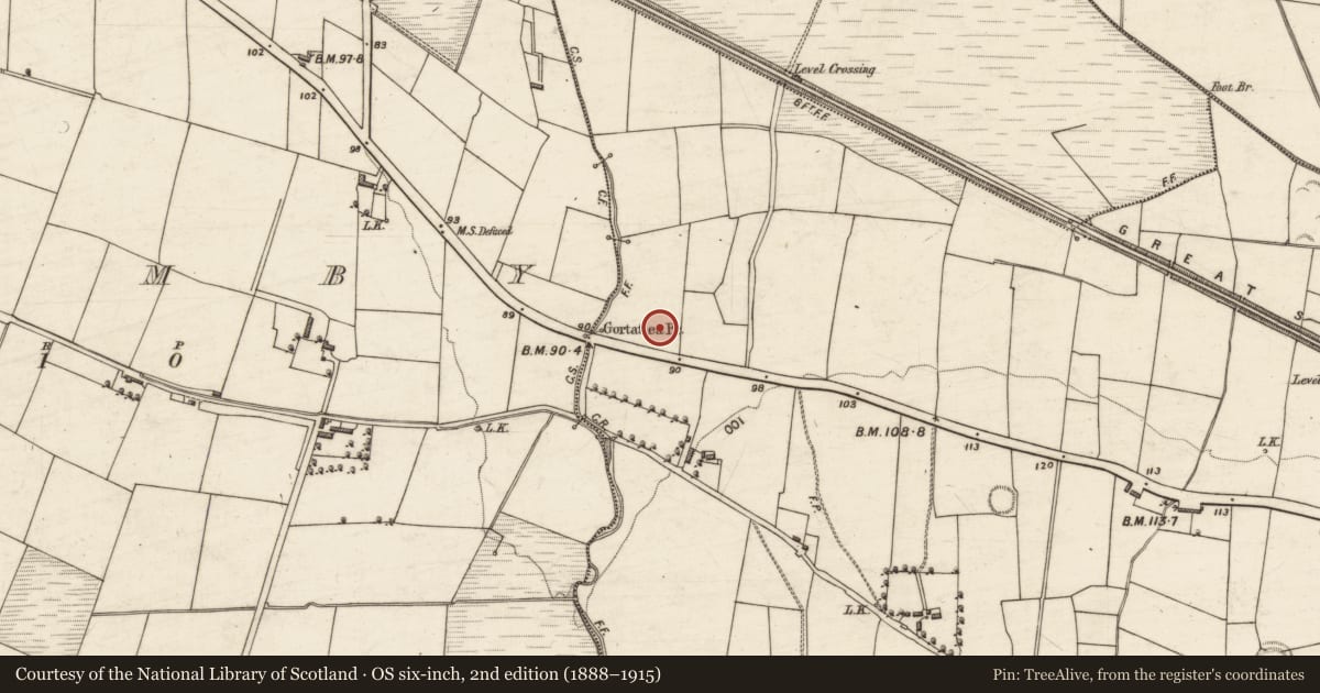 Ordnance Survey six-inch map, 2nd edition (1888–1915) covering the location of Excavation - miscellaneous, Gortatlea, County Kerry, with a pin at the register's coordinates
