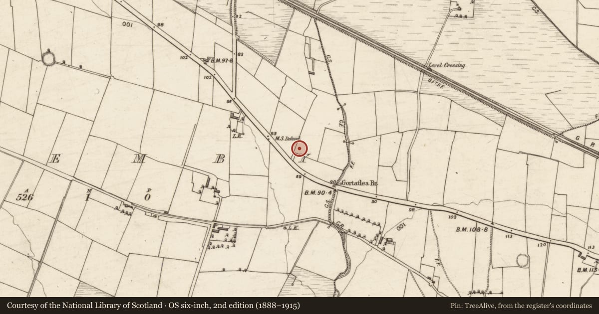 Ordnance Survey six-inch map, 2nd edition (1888–1915) covering the location of Excavation - miscellaneous, Flemby, County Kerry, with a pin at the register's coordinates