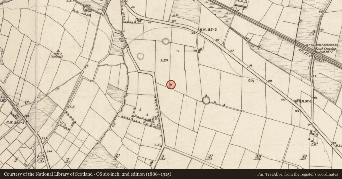 Ordnance Survey six-inch map, 2nd edition (1888–1915) covering the location of Burnt mound, Flemby, County Kerry, with a pin at the register's coordinates
