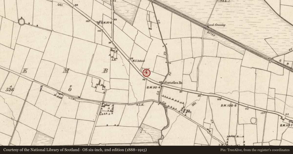 Ordnance Survey six-inch map, 2nd edition (1888–1915) covering the location of Burnt mound, Flemby, County Kerry, with a pin at the register's coordinates