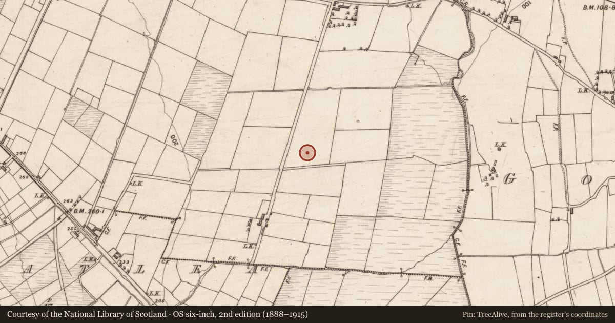 Ordnance Survey six-inch map, 2nd edition (1888–1915) covering the location of Ring-ditch, Flemby, County Kerry, with a pin at the register's coordinates